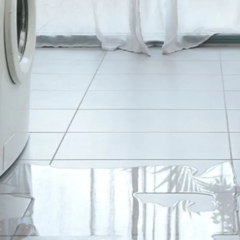 Appliance Leak Cleanup in Lyman, SC