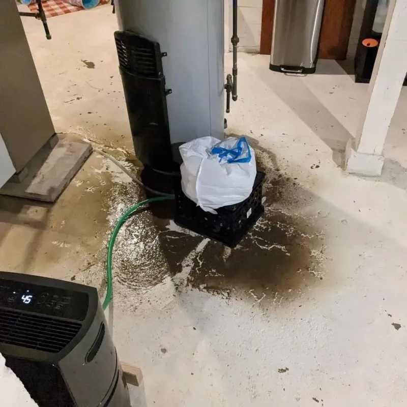 Sewage Backup Cleanup Service in Lyman, SC